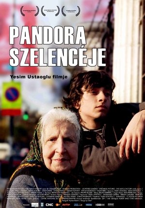 Pandora szelencéje (2008)