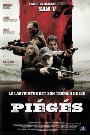 Poster Piégés 2015