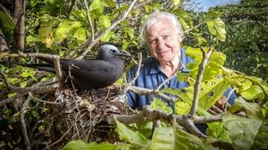 poster Great Barrier Reef with David Attenborough