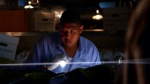 CSI: Miami: 8×17