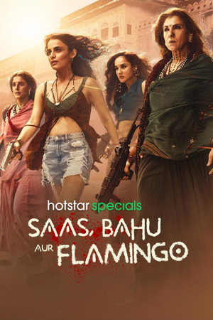 Saas, Bahu Aur Flamingo