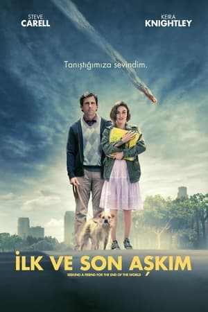 Poster İlk ve Son Aşkım 2012