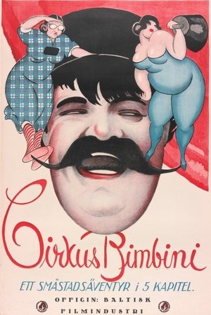 Image Cirkus Bimbini