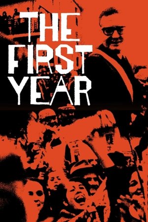 The First Year