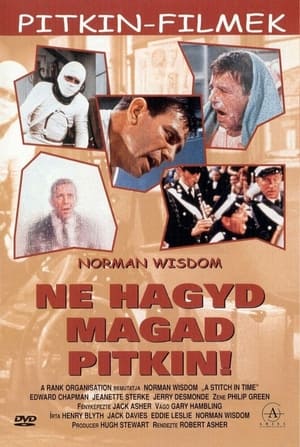 Poster Ne hagyd magad, Pitkin! 1963