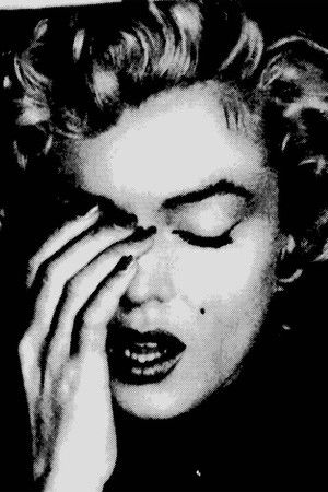 The Marilyn Files
