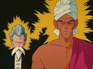 Dragon Ball: 1×22