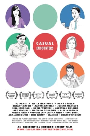 Poster Casual Encounters (2013)