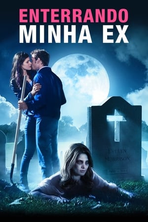 Poster Como Enterrar a Ex 2014