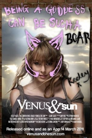 Poster Venus & the Sun 2011