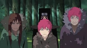 Naruto Shippuden: 14×319