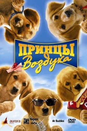 Poster Принцы воздуха 2006