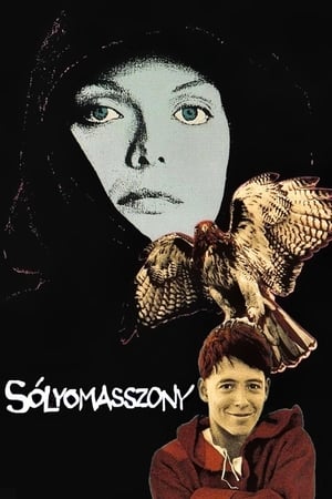 Poster Sólyomasszony 1985