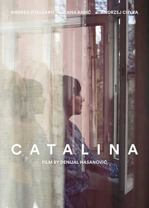 Poster Catalina 2017