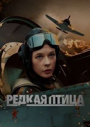 Редкая птица 2024