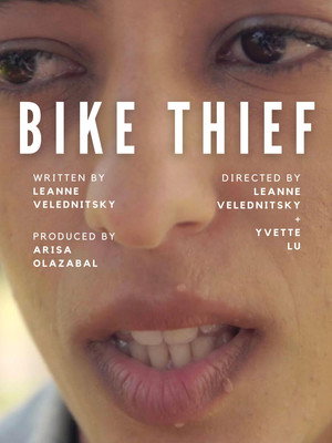 Bike Thief