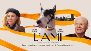 Images posters