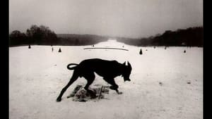 Contacts Josef Koudelka