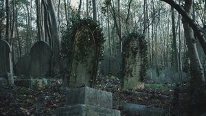 Mysterious Urban Legends | StreamHub