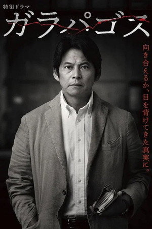 加拉巴哥
