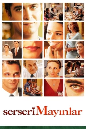 Serseri Mayınlar (2010)