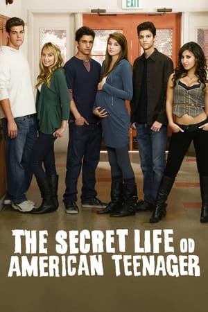 Image The Secret Life of the American Teenager