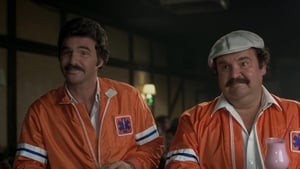 The Cannonball Run 1981