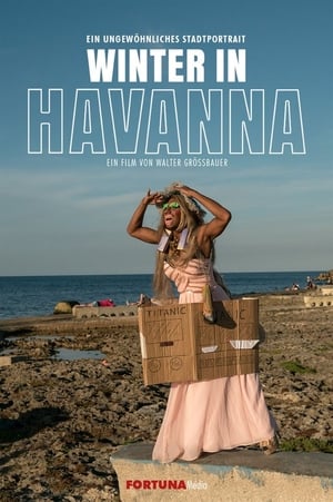 Winter in Havana (2019)