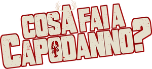 Cosa fai a Capodanno?