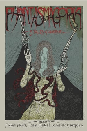 Poster Phantasmagoria 2014