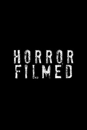 Poster Horror Filmed (2013)