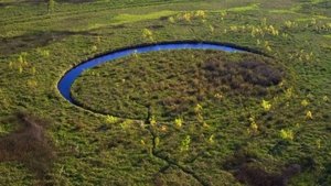 What on Earth? Mystery of Fang Forest