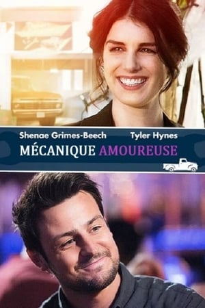 Poster Mécanique amoureuse 2017