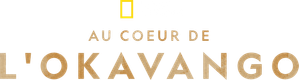 Expedição ao Delta do Okavango — Logos 1