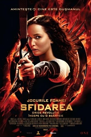 Jocurile foamei: Sfidarea (2013)