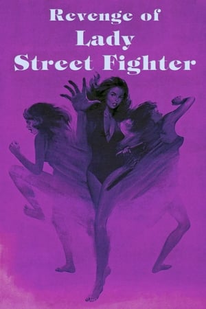 Poster Revenge of Lady Street Fighter 1990