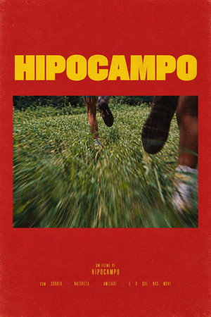HIPOCAMPO