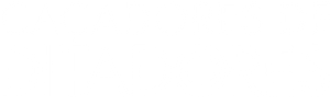 To Kill a Dictator — Logos 1