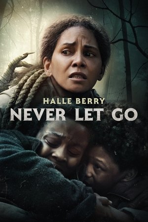 Image Never Let Go - Lass niemals los