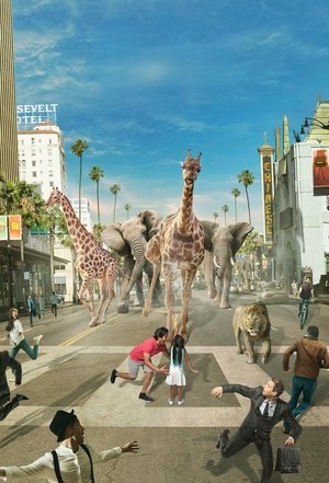 <Images posters