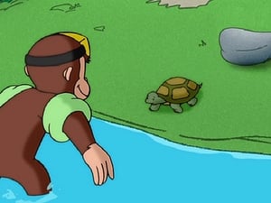 Image Curious George Takes a Dive