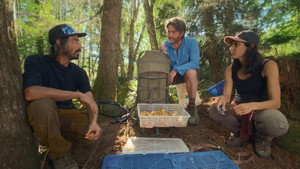 Foraging - Episode 3