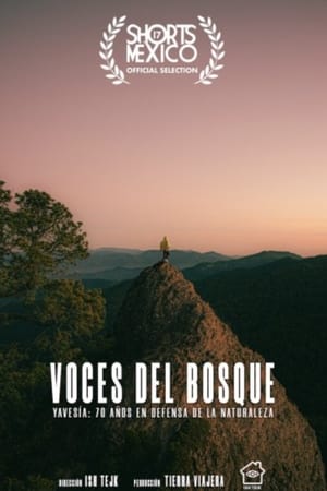 Poster Voces Del Bosque 2022
