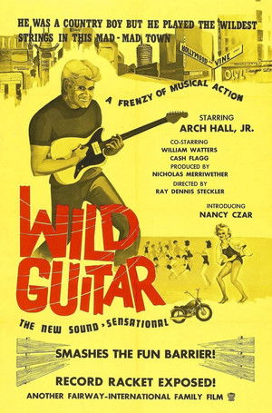 poster Wild Guitar