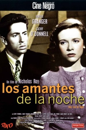 Image Los amantes de la noche