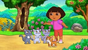 Dora: 8×4