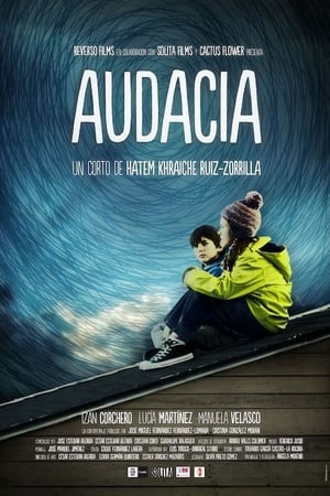 Poster Audacia 2012