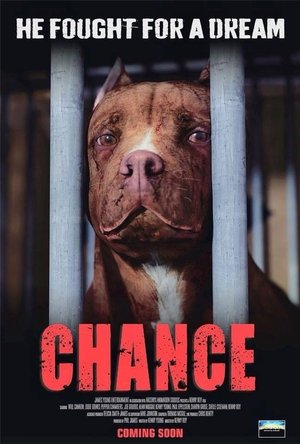Watch Chance online
