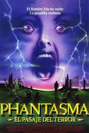 Poster Phantasma III: El pasaje del terror 1994