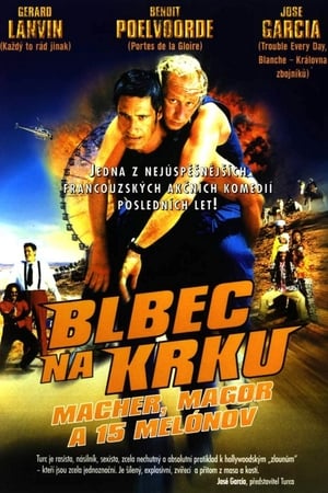 Poster Blbec na krku 2002